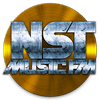 undefined NST Music FM 