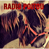 undefined Radio Poitou