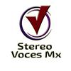 undefined Stereo Voces Mx