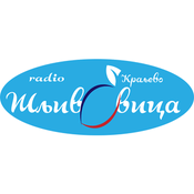 Radio Radio Sljivovica Kraljevo