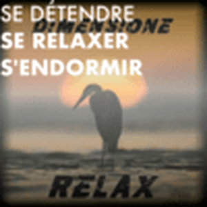 Lyt til Se détendre, se relaxer, s'endormir avec Radio Dimensione Relax i appen