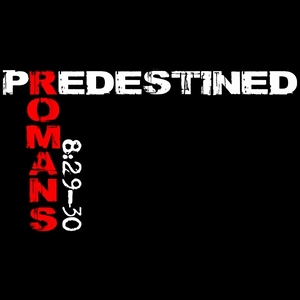 Lyt til PREDESTINED RADIO i appen