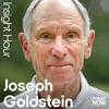 undefined Insight Hour with Joseph Goldstein