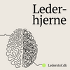 undefined Lederhjerne