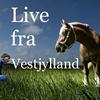 undefined Live fra Vestjylland