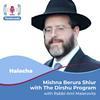 undefined Mishna Berura Shiur With The Dirshu Program