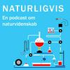 undefined NATURLIGVIS - historiefortællinger om videnskab og teknologi