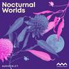 undefined Nocturnal Worlds