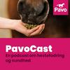 undefined Pavocast