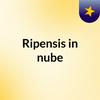 undefined Ripensis in nube