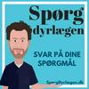 undefined Spørg Dyrlægens dyrebrevkasse om katte- og hundesygdomme med dyrlæge Søren Drimer Pejstrup