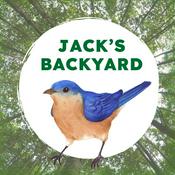 Podcast Jack's Backyard