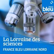 Podcast La Lorraine des sciences - FB Lorraine Nord