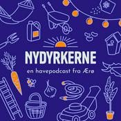 Podcast Nydyrkerne