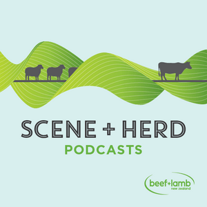 Lyt til Scene + Herd: Podcasts from Beef + Lamb New Zealand i appen